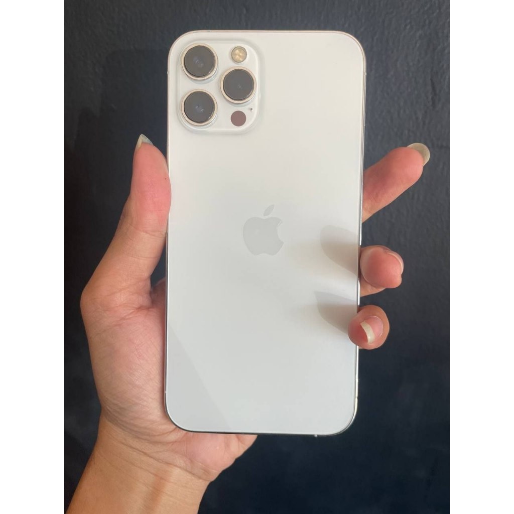 iPhone 12 Pro Max 256 GB Silver 2nd Resmi Bea Cukai - Sinyal Permanen - Minus Sesuai Deskripsi