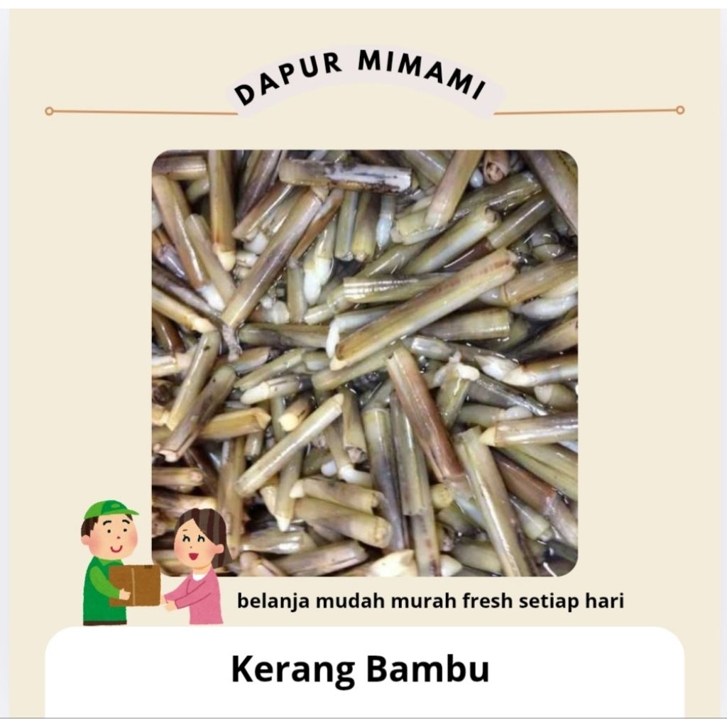Kerang Bambu Segar KIRIM BESOK