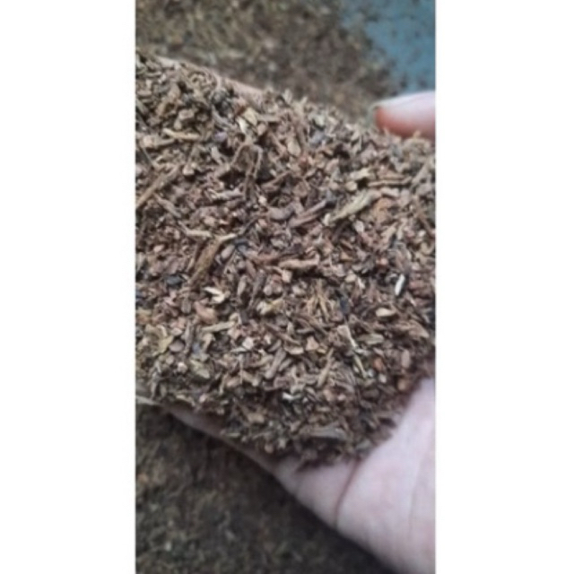 1kg Gagang Cengkeh rajangan kering