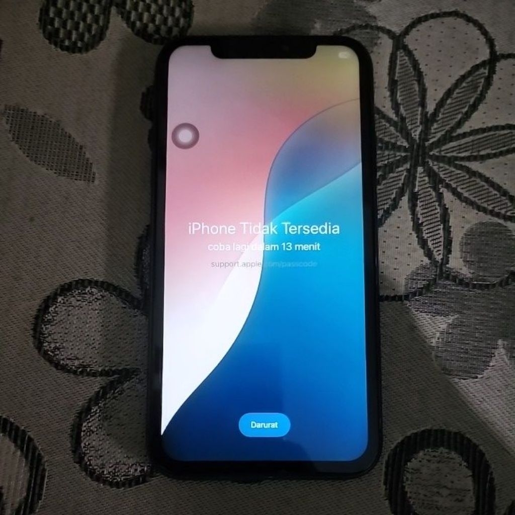 iphone 11 disabled