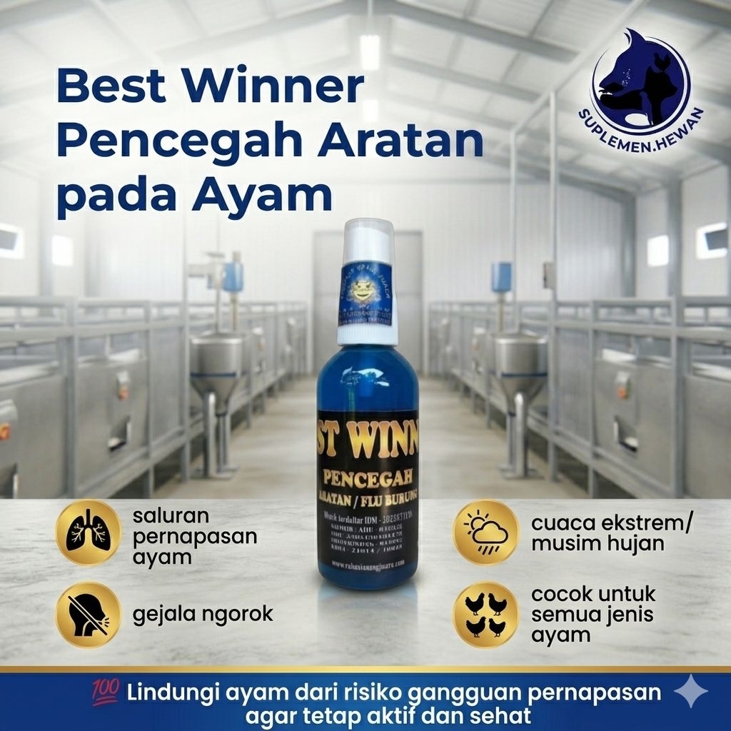 Pencegah Aratan Ayam Obat Ayam Ngorok Snot Pilek Flu Burung Ayam Aduan Bangkok Kampung Petelur Pengu
