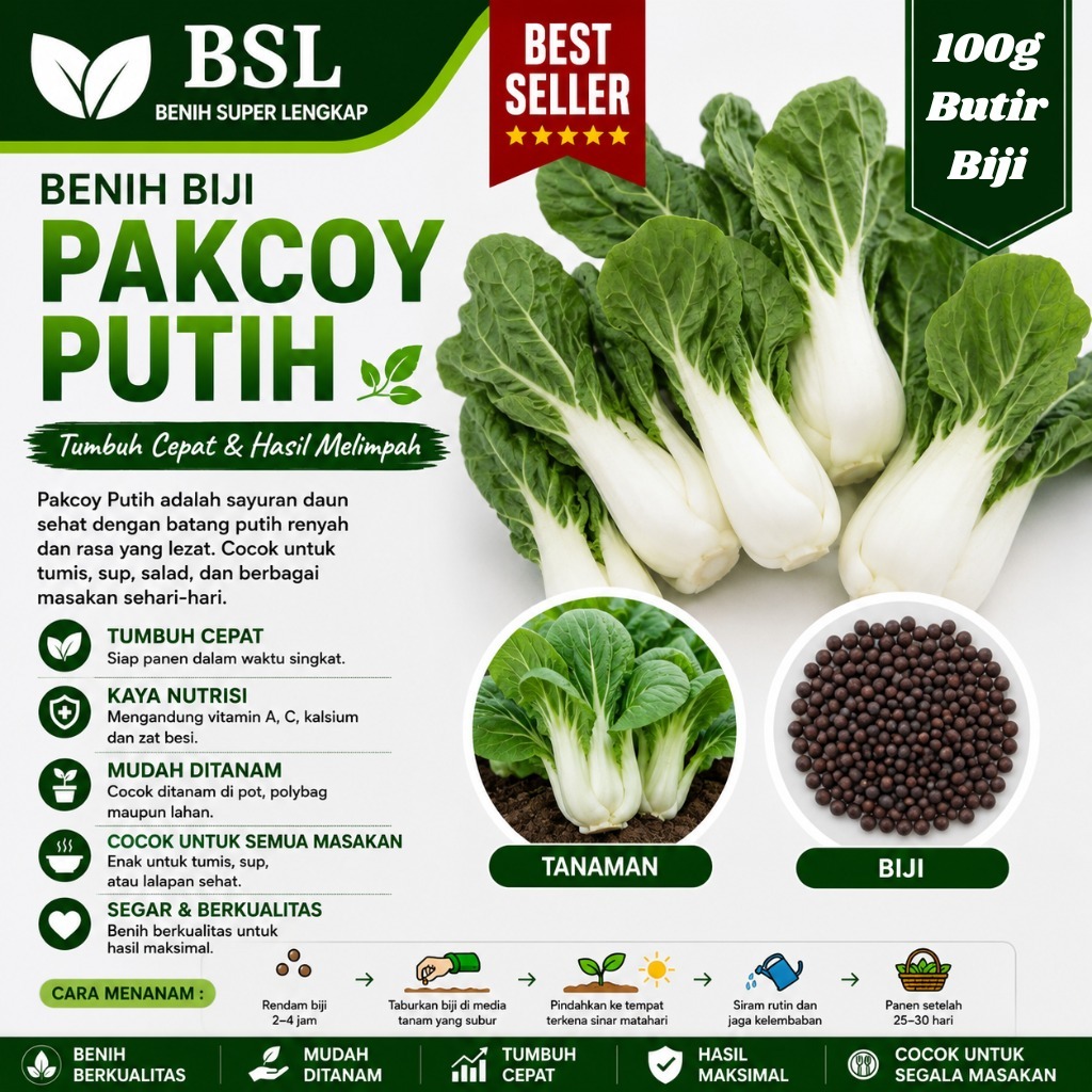 ( 100 Gram ) Benih Biji Pakcoy Putih | Sawi Sendok | Bok Choy | Pak Choy White | UKI BIBIT