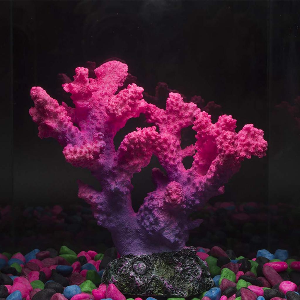 Karang violet, hiasan aquarium karang violet, dekorasi aquarium karang violet, hiasan karang aquariu