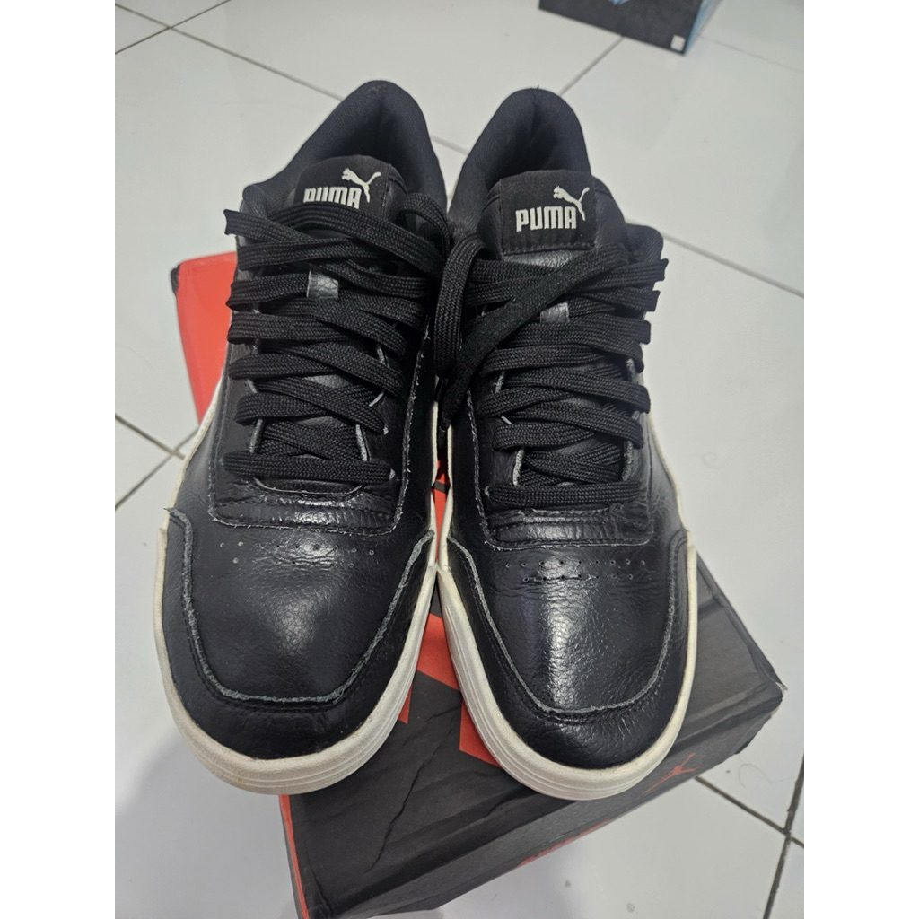 Puma Caracal Black and White