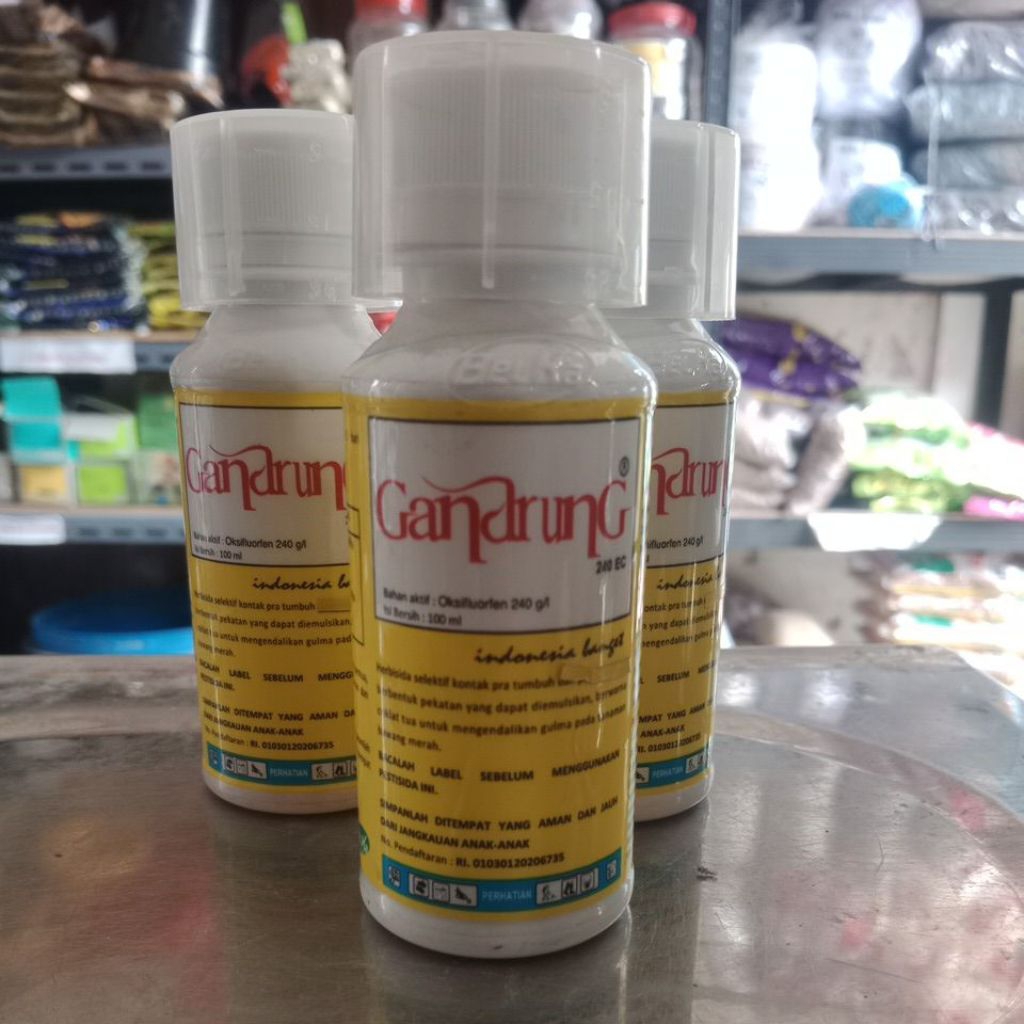 Gandrung 240 EC