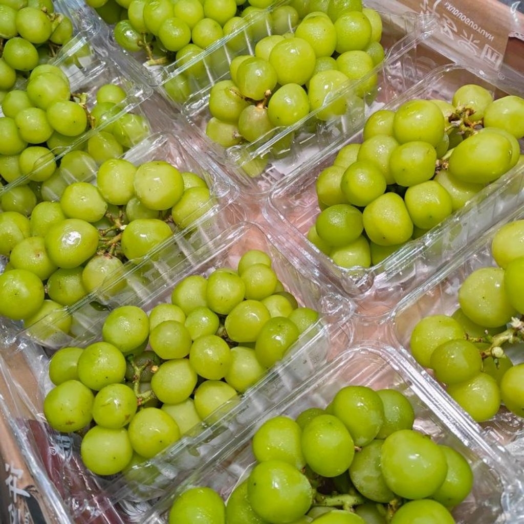 [PREMIUM] Buah Anggur Hijau Shine Muscat Seedles Grape 500gr