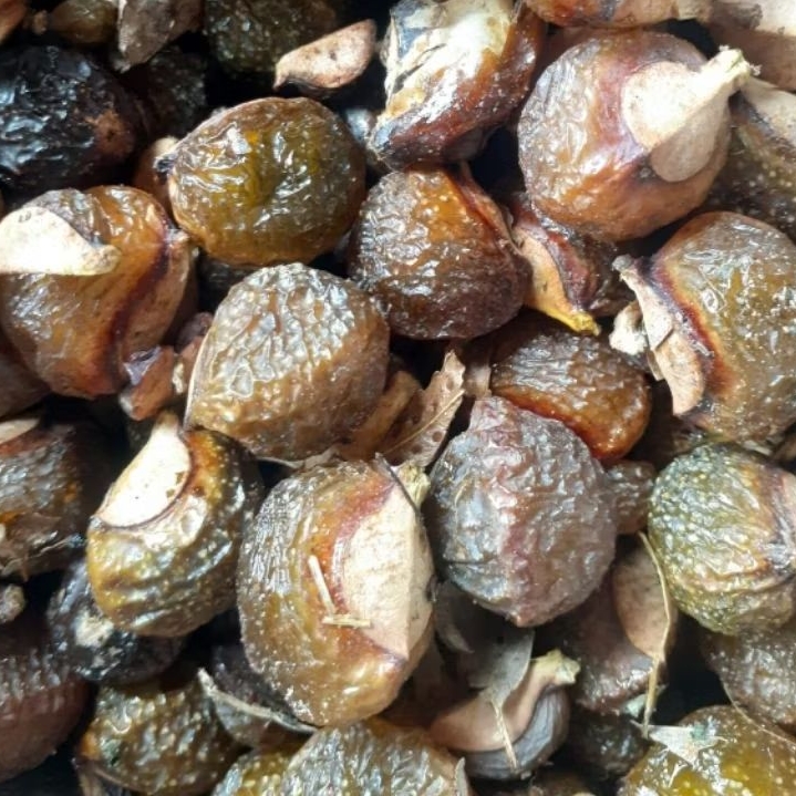 Lerak 1 kg / Lerak / Klerek / Rerek / Kanikia / Lamuran