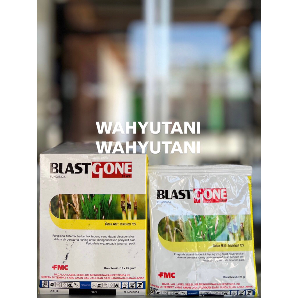 Fungisida BLASTGONE 75 WP 25 gr