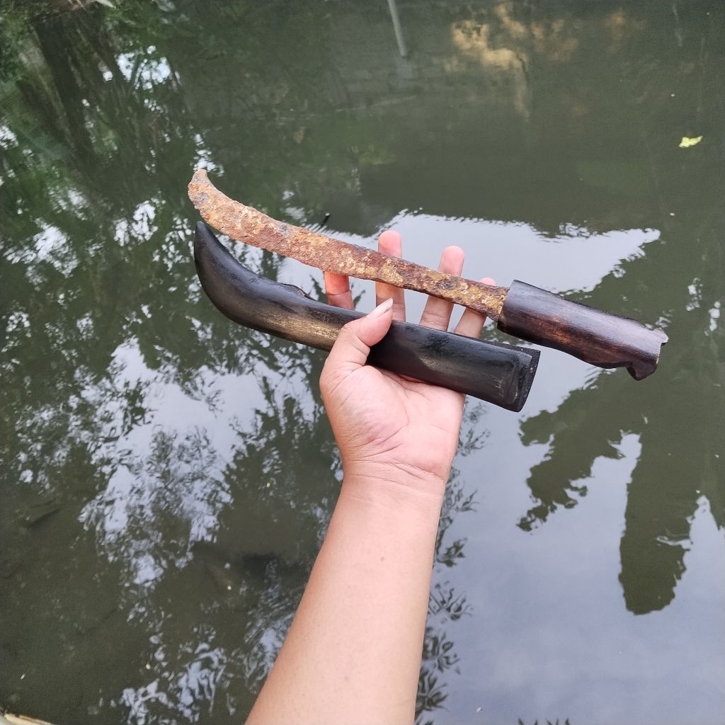 Temuan kabudan