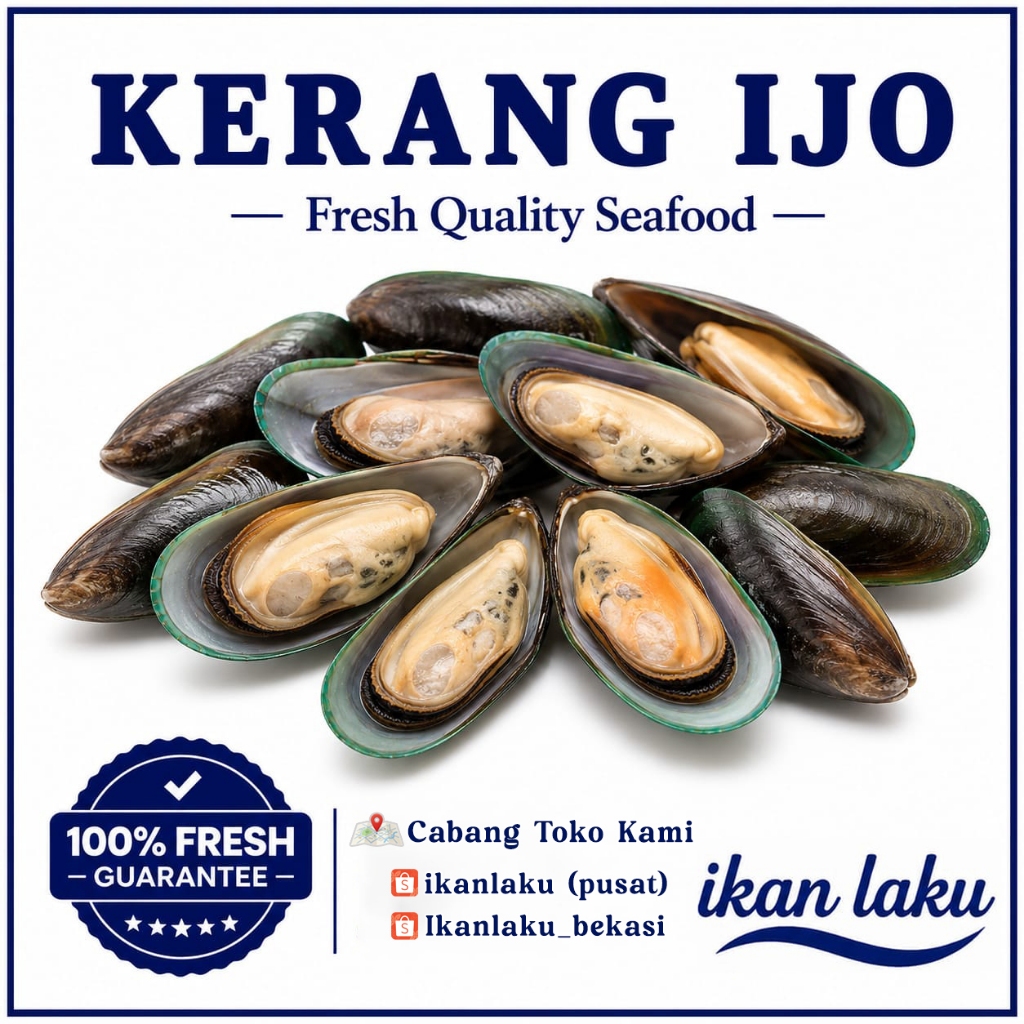 Ikan Laku – Kerang Hijau Fresh – Kerang Ijo Kerang Frozen Segar Laut Bersih Kotoran Premium Seafood 