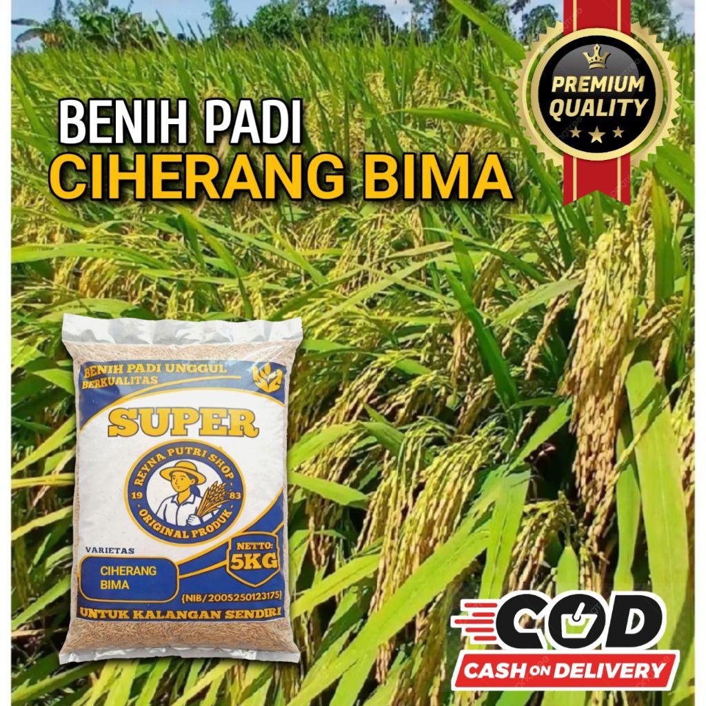Benih padi ciherang bima super unggul 5kg