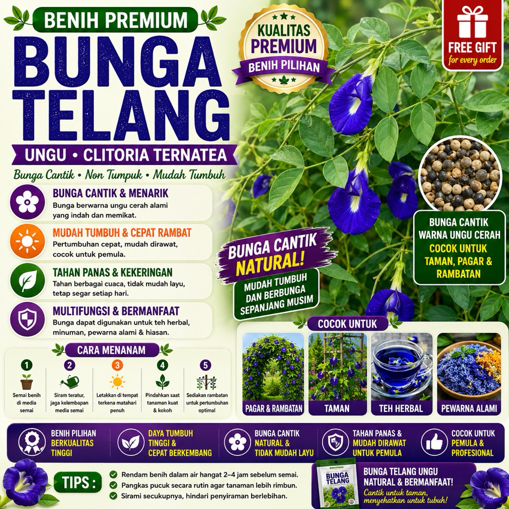 ISI PAKET: 10 Bibit Bunga Telang Ungu Benih Tanaman Bunga Telang Non Tumpuk Mudah Tumbuh Unggul Berk