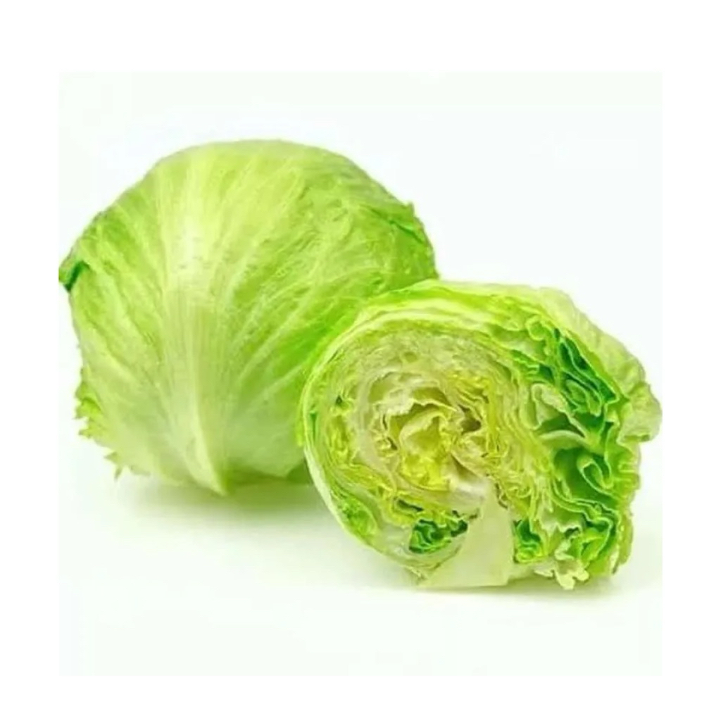 Lettuce Iceberg / Head Lettuce
