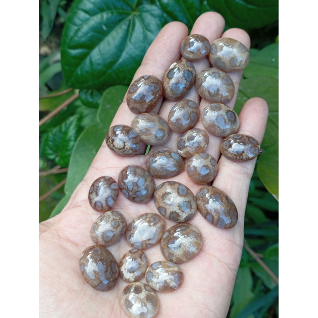 batu teratai/batu bacan doko/batu akik/batu akik kendit