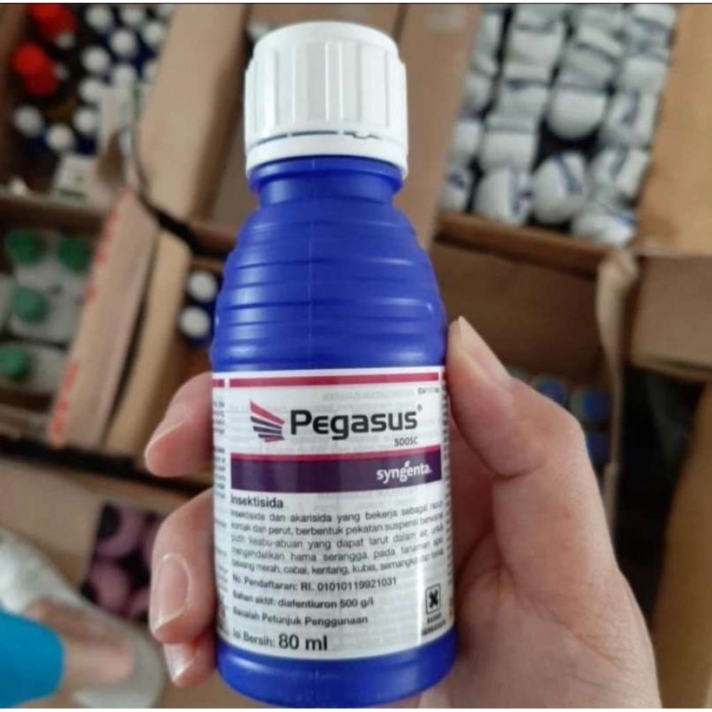insektisida pegasus 500sc 100ml original