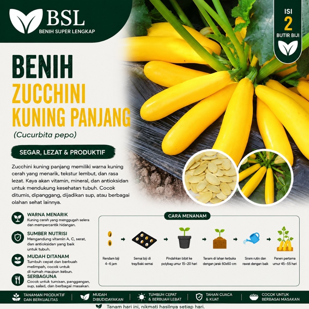 ( 2 Butir ) Benih Biji Zucchini Kuning Panjang | Zukini Kuning | Labu Cukini | UKI BIBIT
