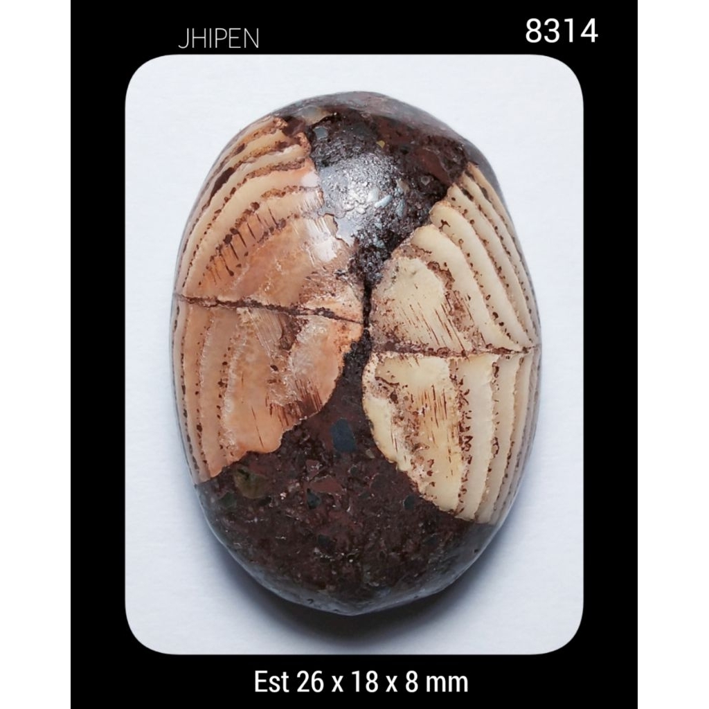 8314 Batu Jhipen