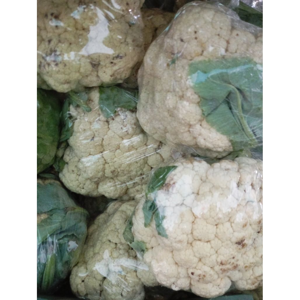 Sayur Blumkol / Kembang kol / Bunga kol segar
