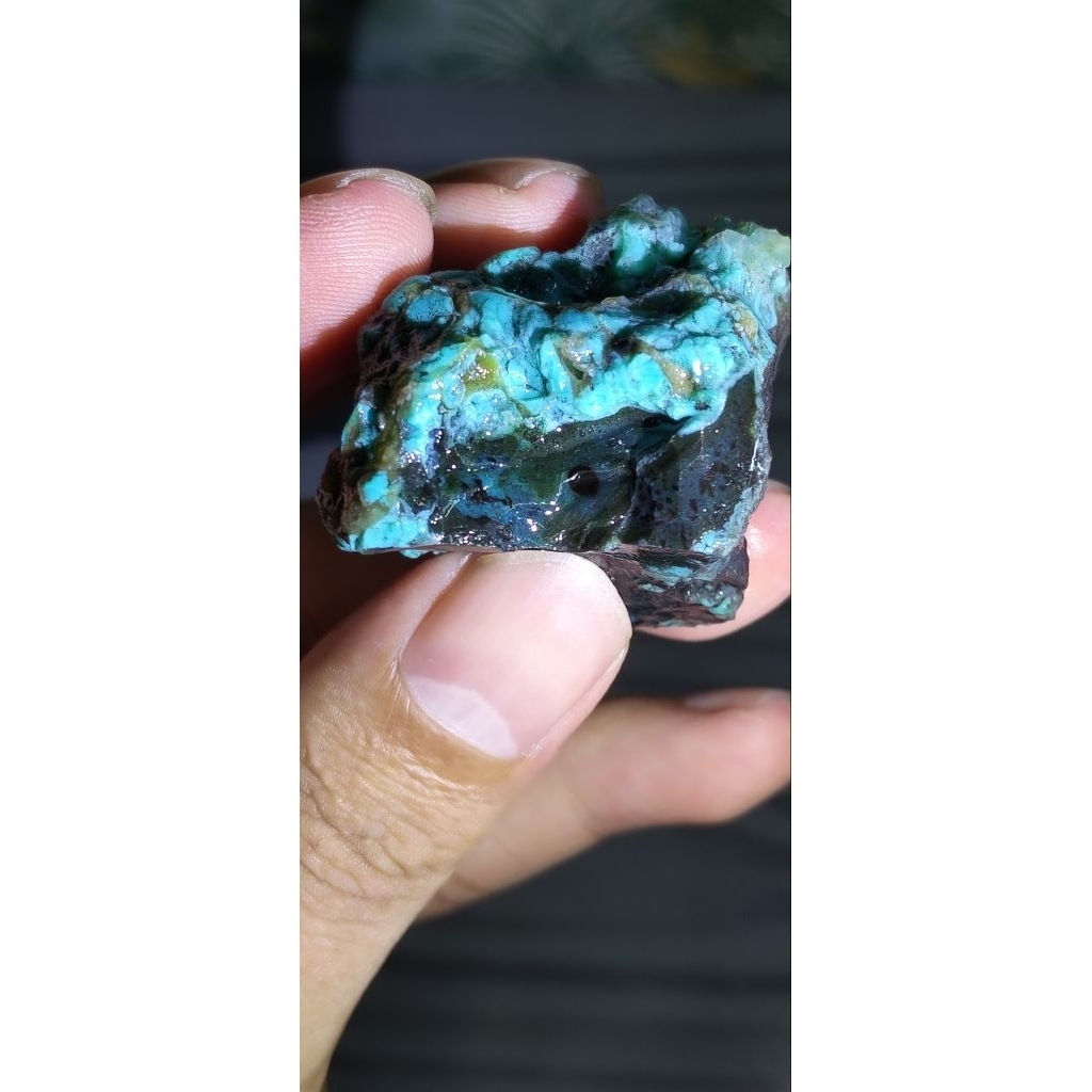 Bacan Doko Coklat