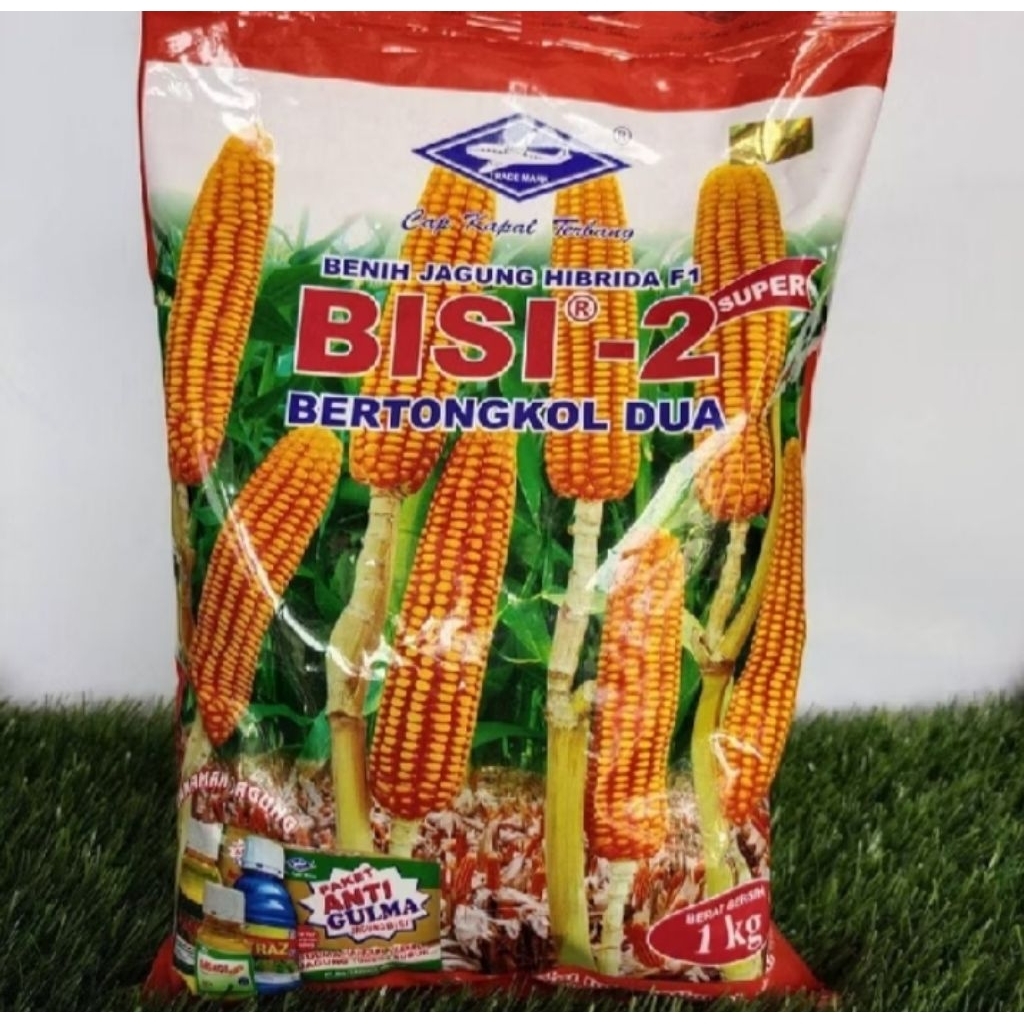 [PAKET HEMAT 5KG] BENIH JAGUNG HIBRIDA BISI 2 BERTONGKOL 2 ORIGINAL