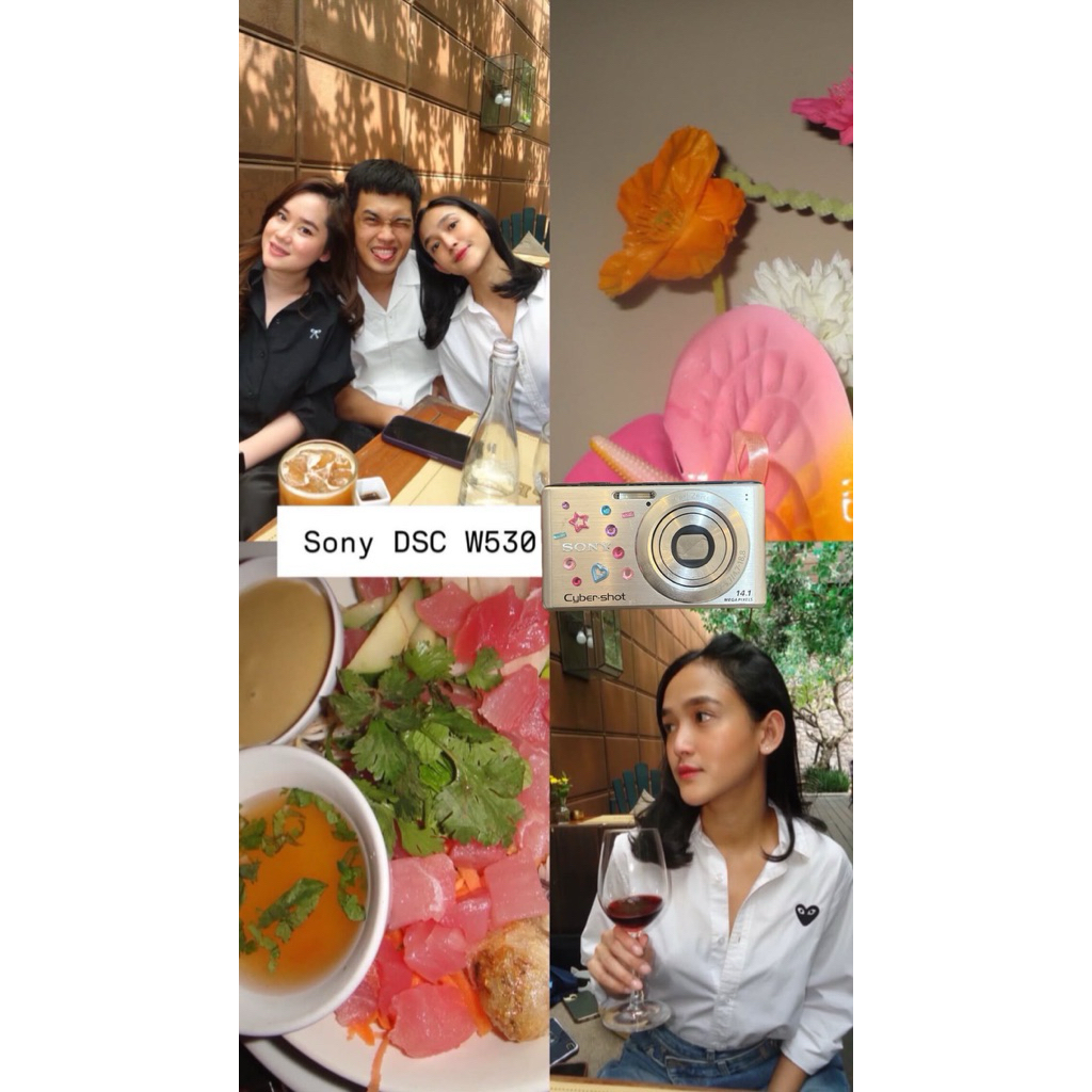 sony DSC W530