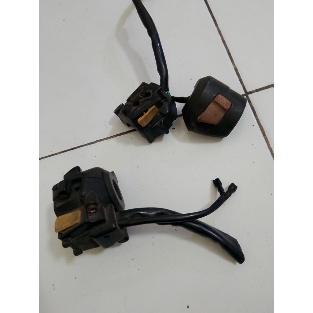 holder tiger