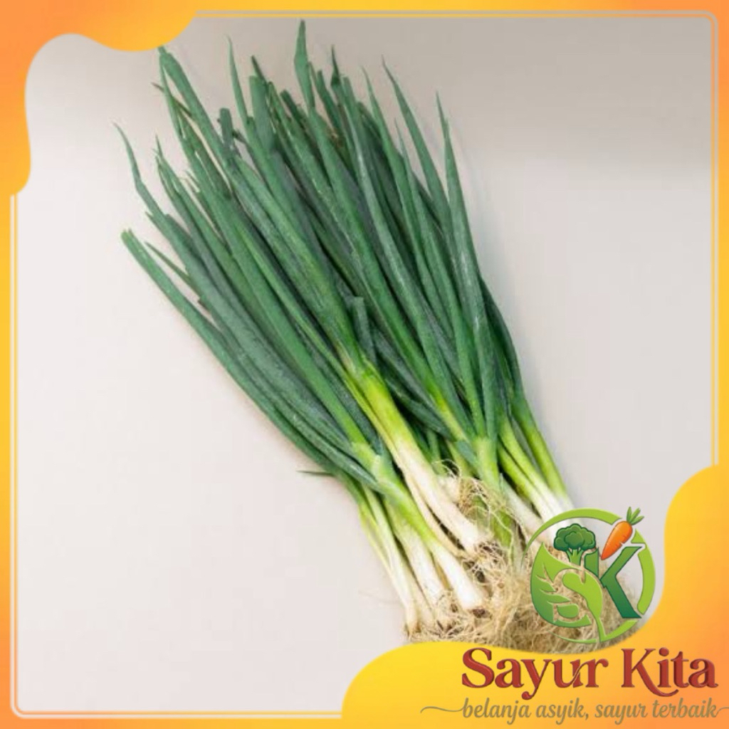 daun bawang prei
