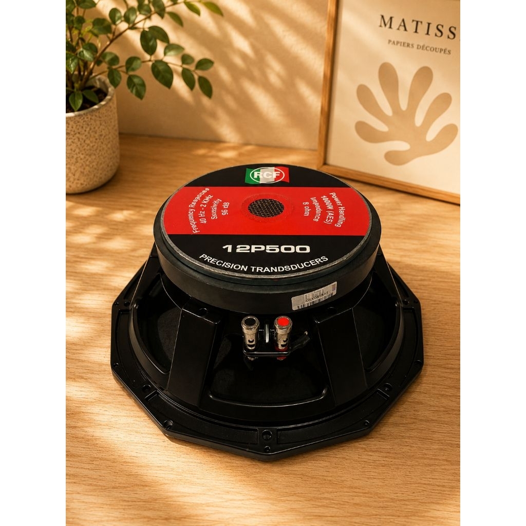 Speaker 12 Inch RCF 12P500 Ori Grade A+ Italy