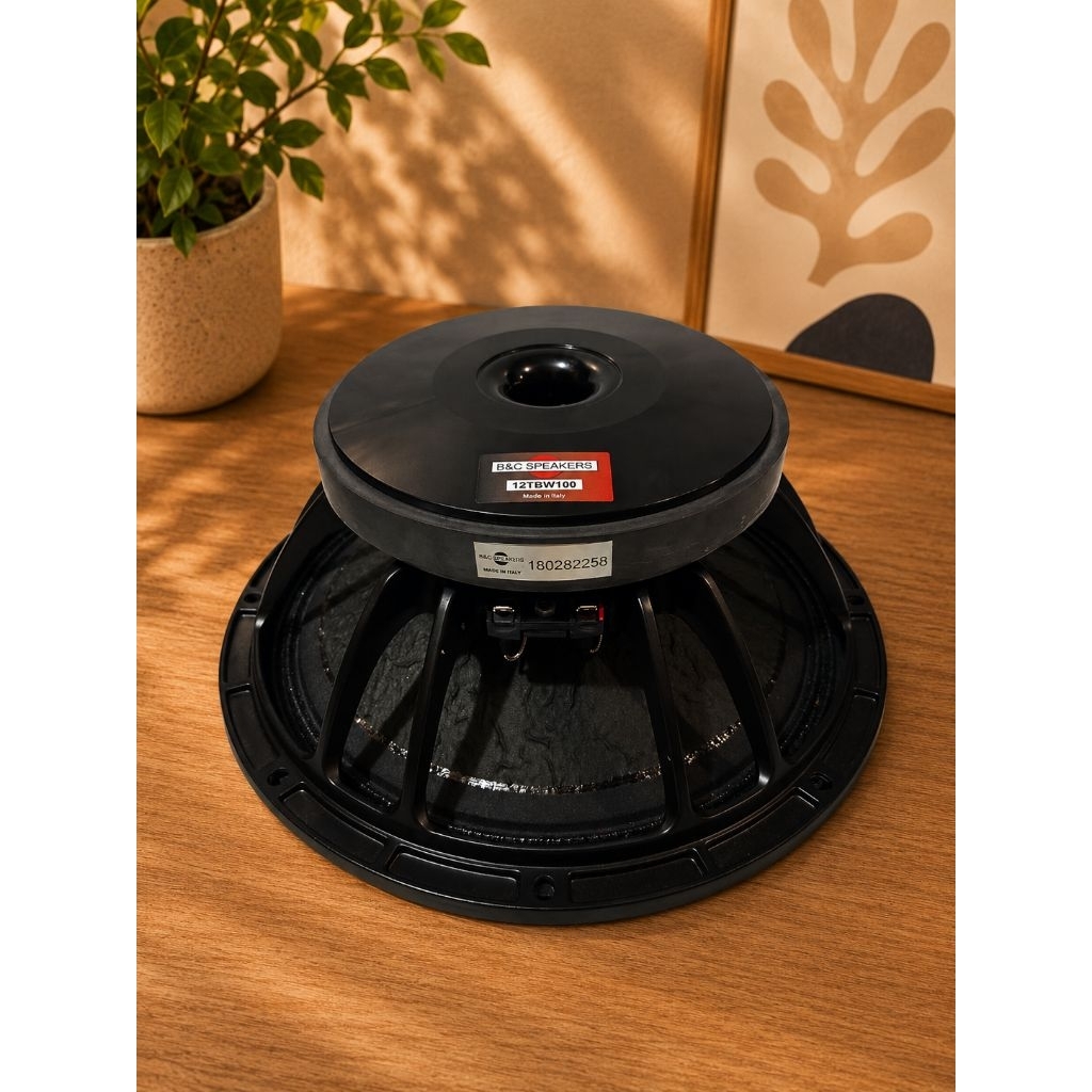 SPEAKER BNC 12 TBW 100