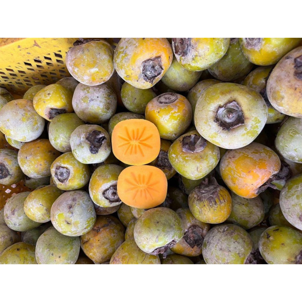 KESEMEK | BUAH KESEMEK 1KG