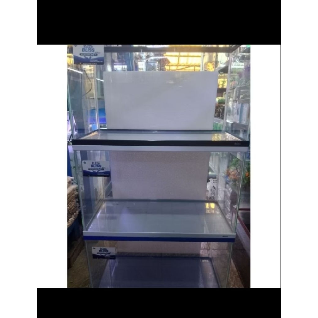 Bahari 60cm G/57L