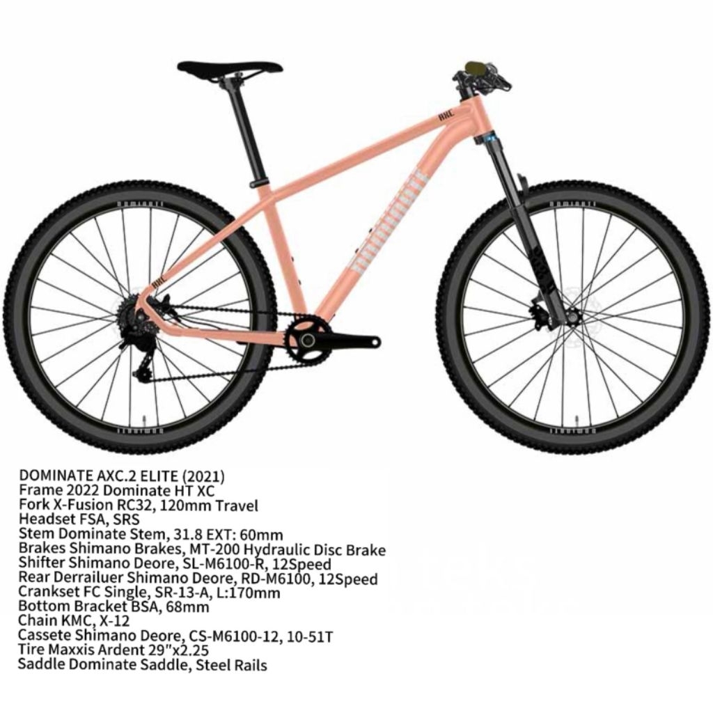 SEPEDA GUNUNG MTB Dominate AXC 2 ELITE