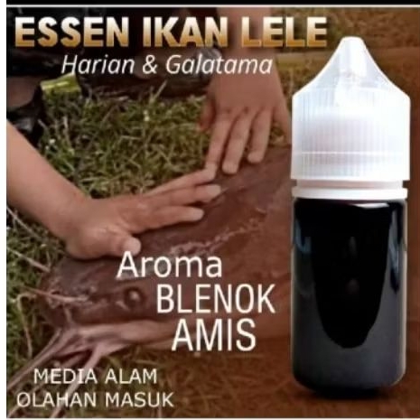 Essen oplosan blenok amis Galatama lele
