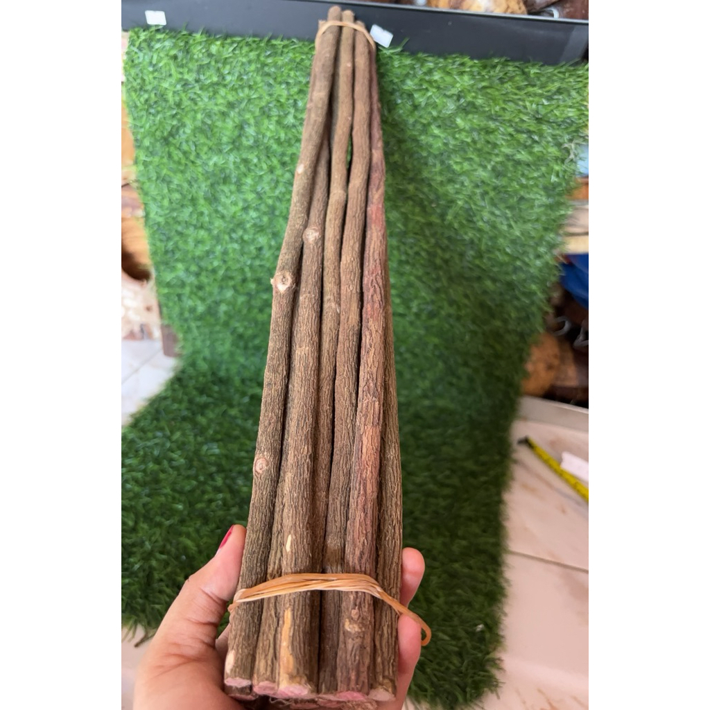 tangkringan ASEM JAWA SEDANG