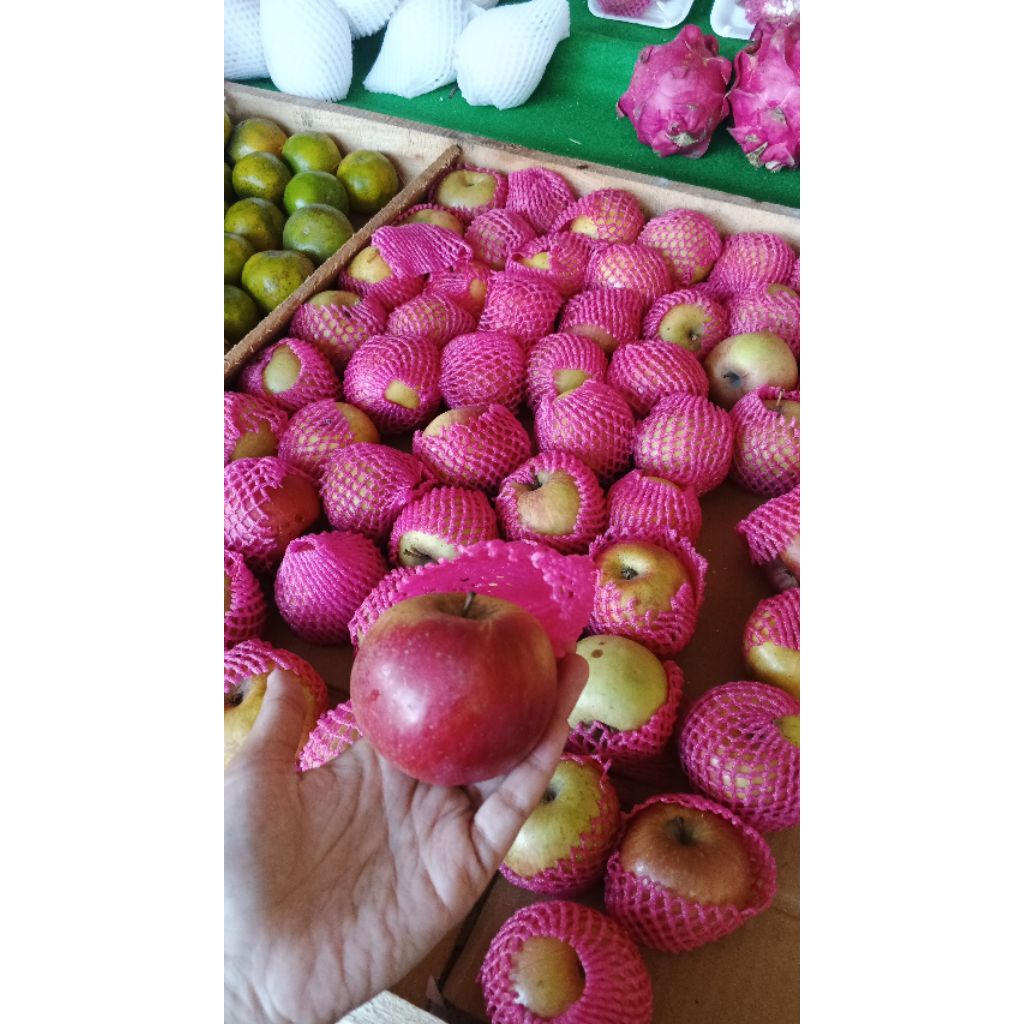 es kulkul buah buahan dan buah buahan lokal import