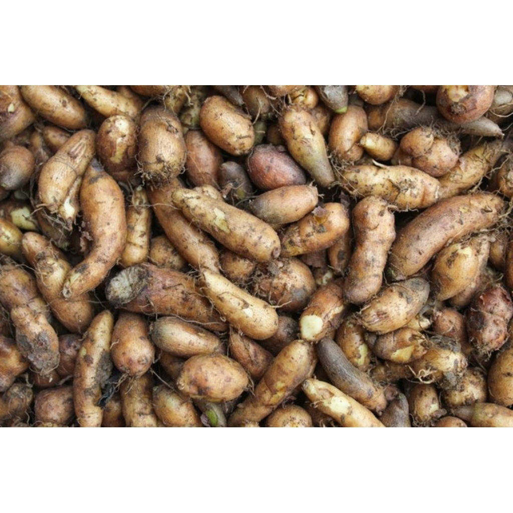 ubi gembili ketan fresh 1 kg