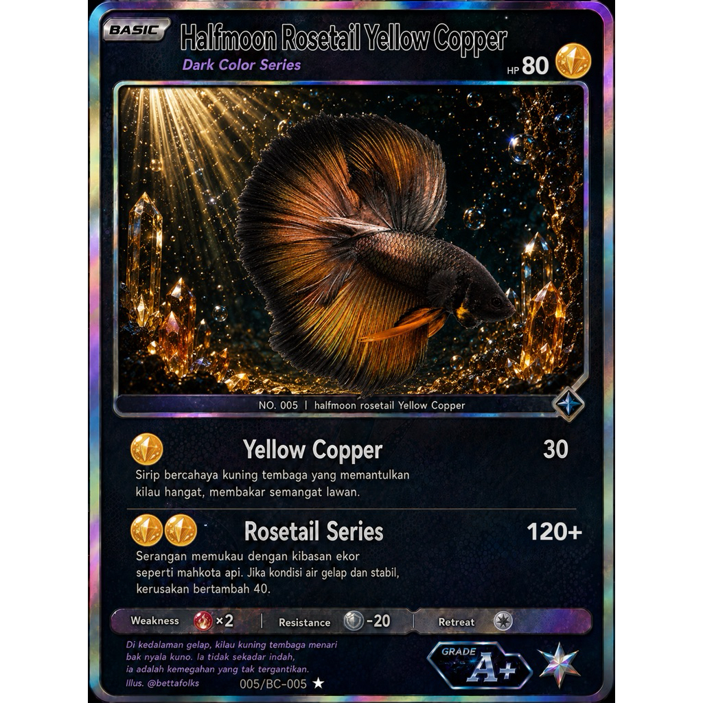 Ikan Cupang Aksesoris Kartu Halfmoon Yellow Copper PREMIUM
