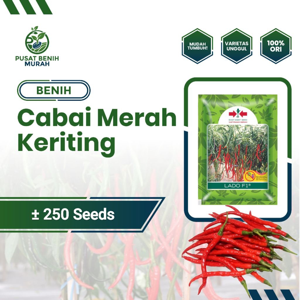[±250 Seed] Benih Bibit Biji Cabai Merah Keriting Varietas Unggul Mudah Tumbuh