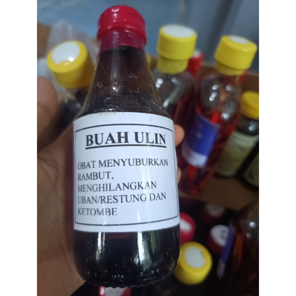 MINYAK BUAH ULIN