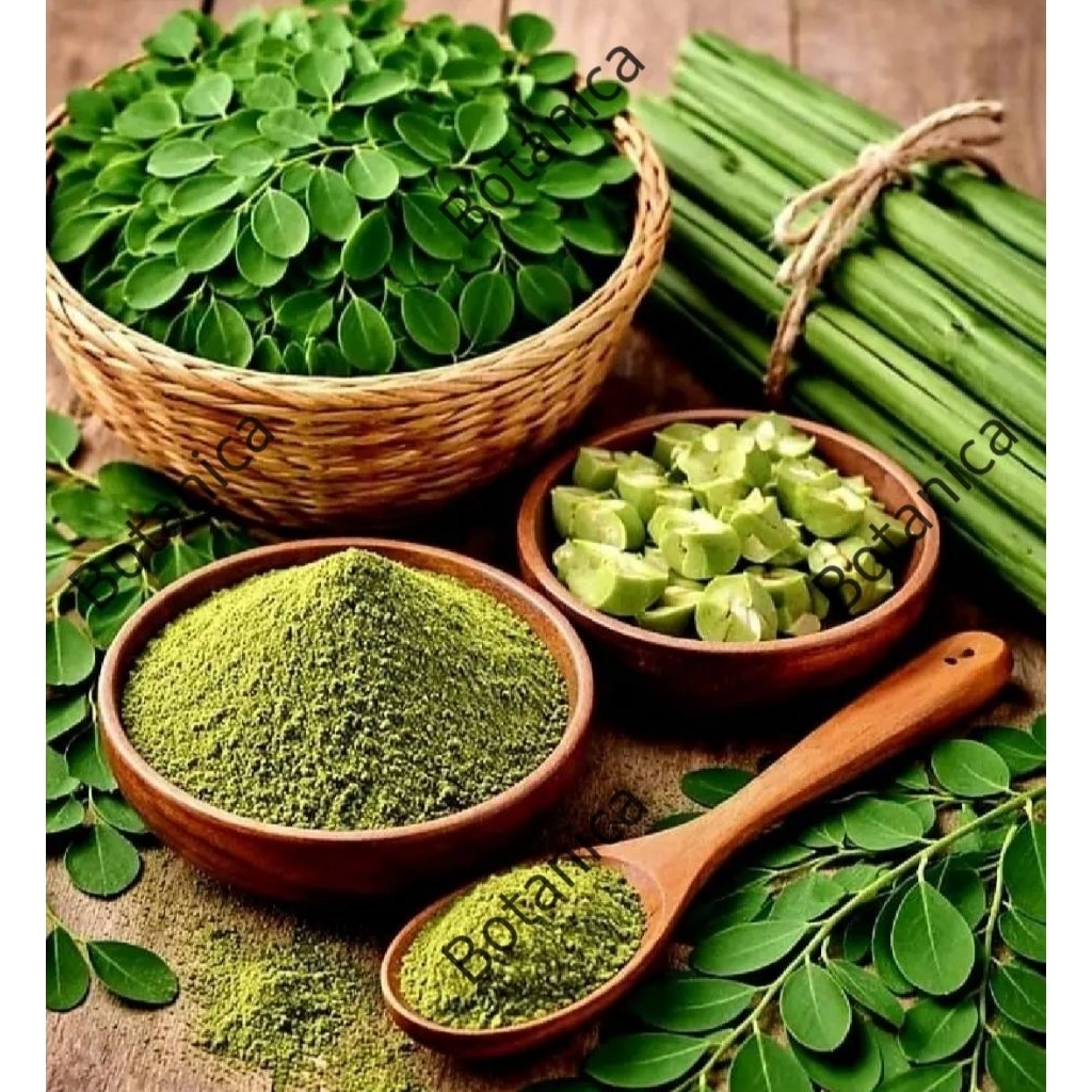 bubuk daun kelor 100 gr, daun kelor