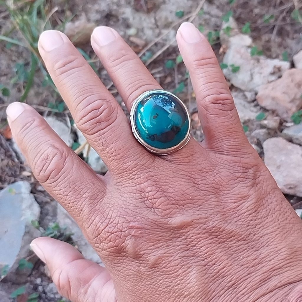 BACAN DOKO KEMBANG "SIZE JUMBO"