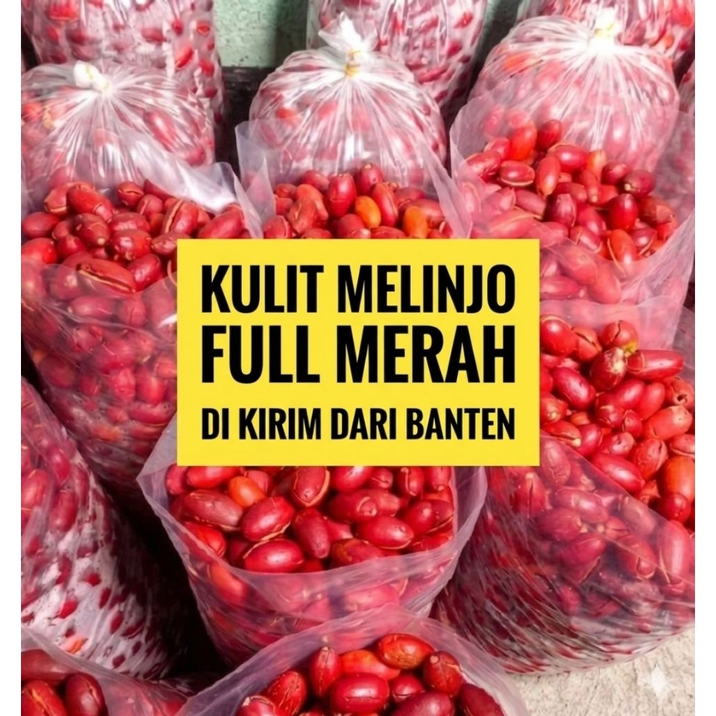 KULIT MELINJO 1KG SEGAR FULL MERAH KULIT MELINJO MENTAH MELINJO SIAP MASAK