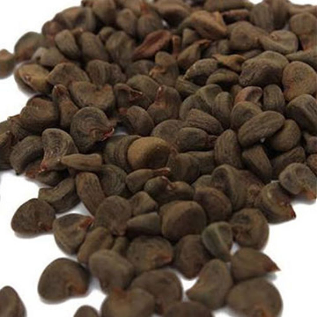 Biji Bunga Rosella Kering 1kg