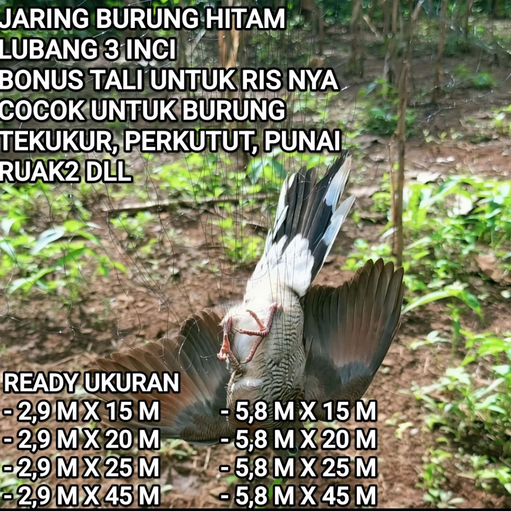 JARING BURUNG HITAM JALA PUNAI JARING PERANGKAP PUNAI LUBANG 3 INCI JARING PIKAT BURUNG RUAK UKURAN 