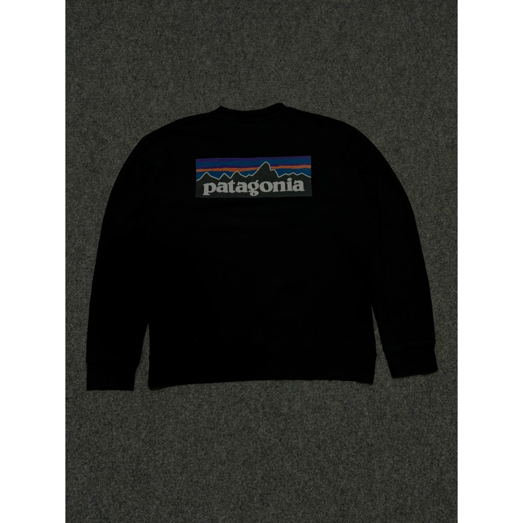 crewneck patagonia