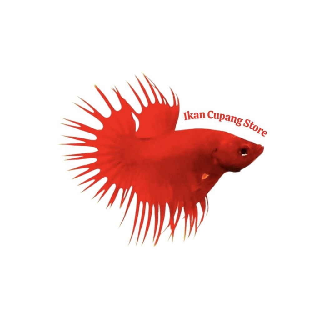 CUPANG CT SUPER RED + CROWNTAIL SUPER RED GRADE A+