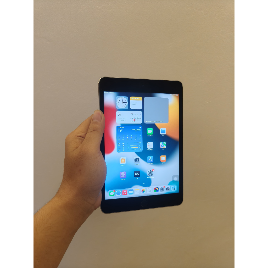iPad Mini 4 128GB Wifi Only Space Grey Murah