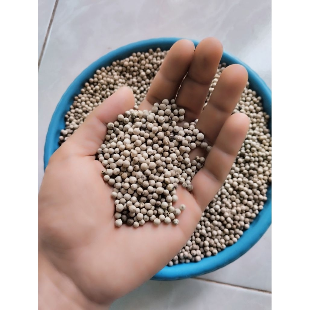 merica putih, lada 1 kg