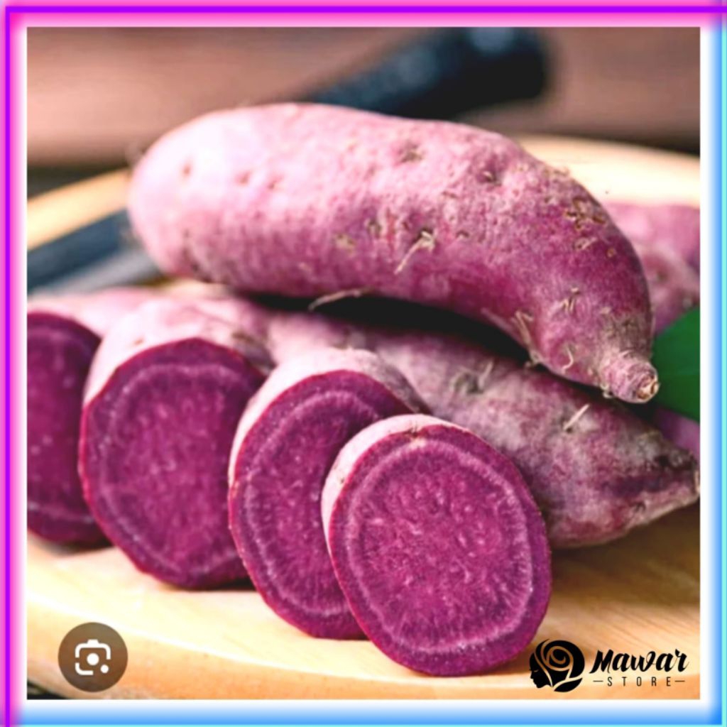 ubi Ungu murasaki 1 kg manis