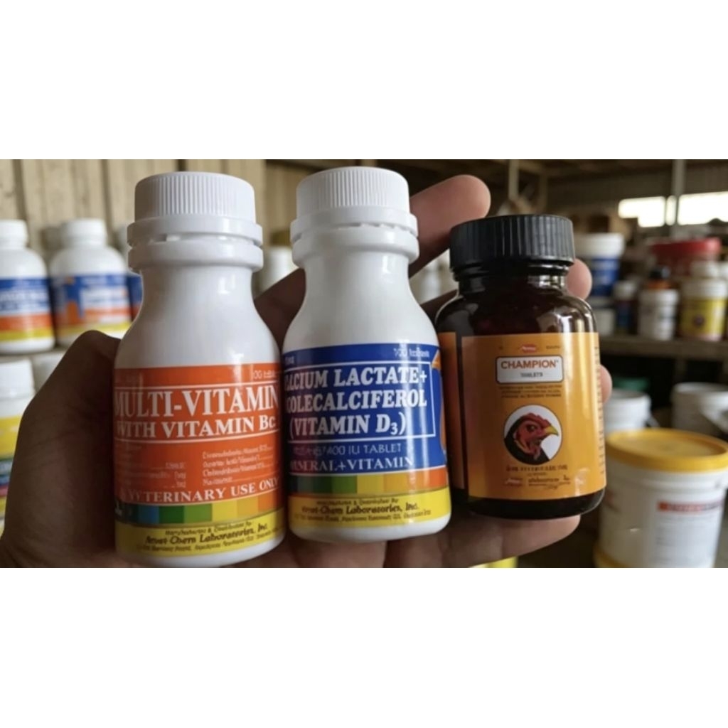 PAKETAN UNTUK AYAM CHAMPION-MULTOVITAMIN-CALCIUM LACTATE